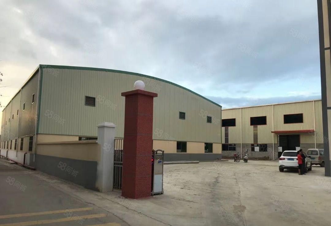 园洲镇独院单一层厂房5300平方，宿舍800平，可分租！