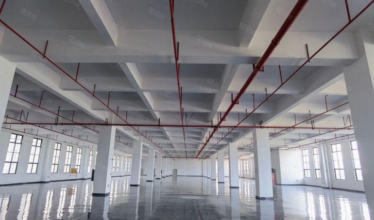 博罗园洲原房东全新花园式标准厂房出租10块钱离高速路口一公里