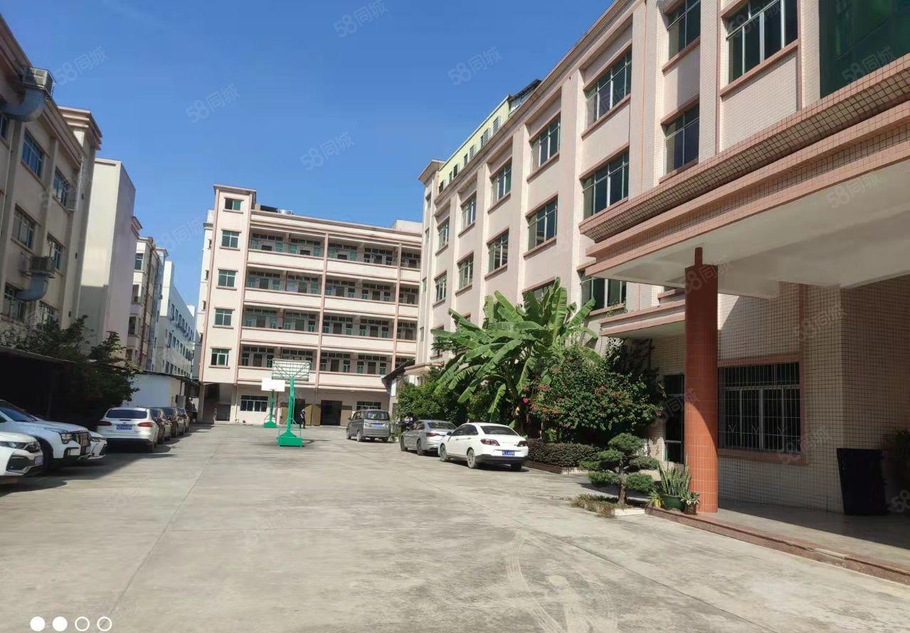 园洲原房东独门独院标准厂房出租