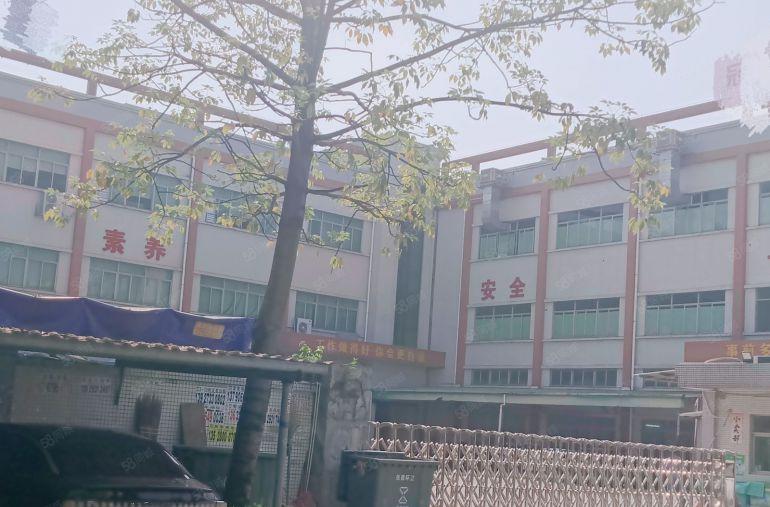 石湾镇标准厂房出租 独院现成办公楼现成地坪漆1000平方分租