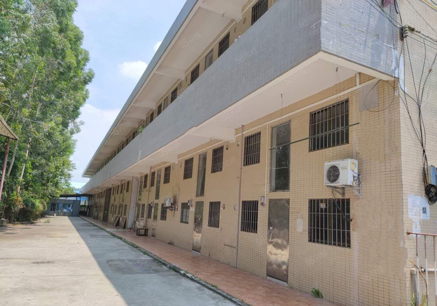 圆洲单一层滴水10米钢构厂房出租9000平2000平起分