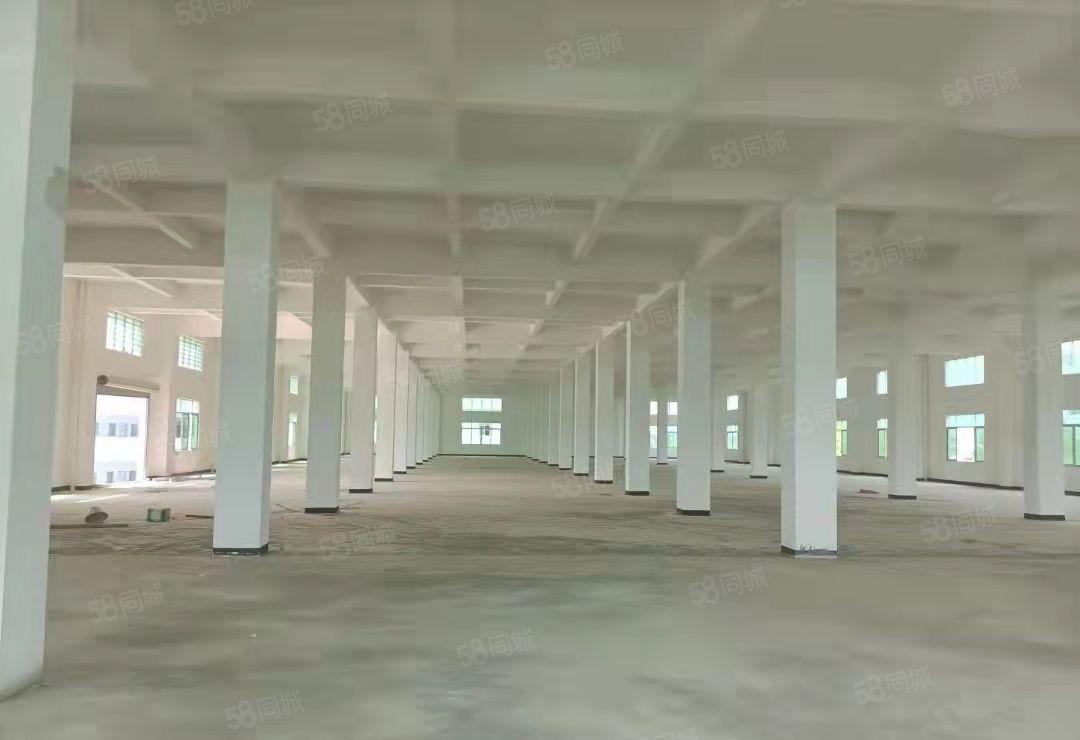 重工业厂房 独院标准 红本厂房 可分租标准厂房 喷油环评