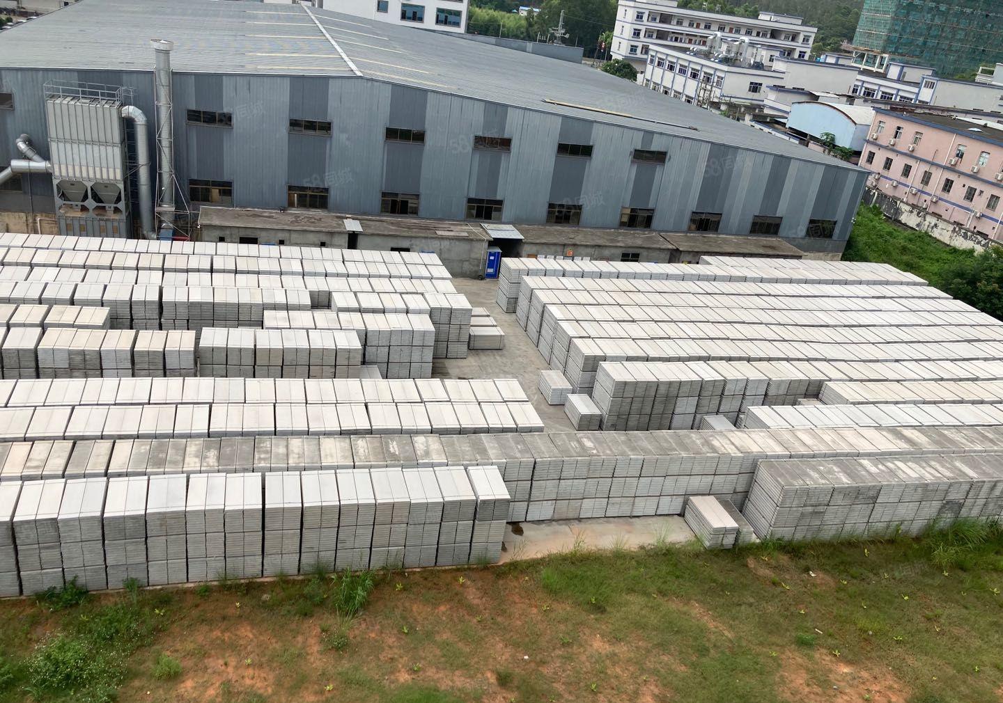 园洲钢结构单一层厂房出租厂房面积8500