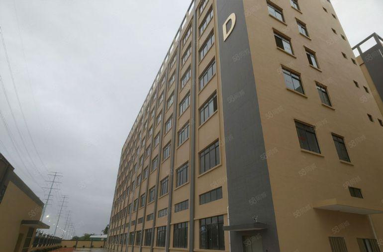 龙溪全新厂房出租 有空地独立厂房 随时入驻 一手房东价格可谈