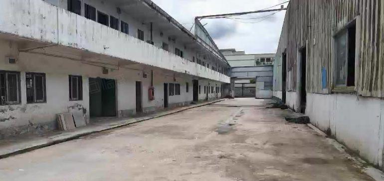 原房东博罗园洲下南村独门独院3000平可以分租，滴水8m，