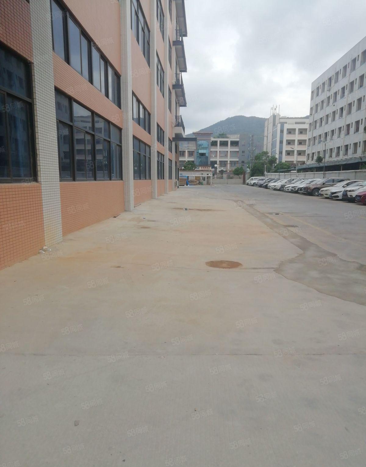 龙溪镇原房东全新红本厂房出租