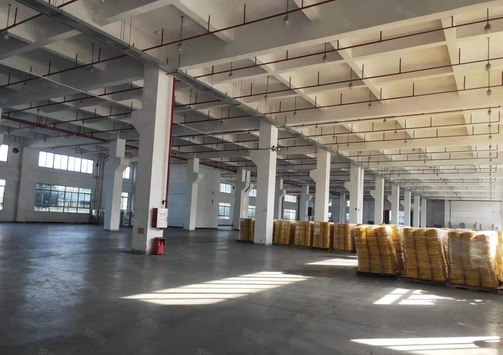 石湾镇原房东独院标准加钢构厂房招租5100平方三层单一层5千