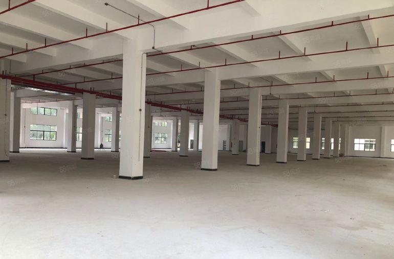 惠州石湾镇原房东独院厂房12500平出租带红本实量面积12块