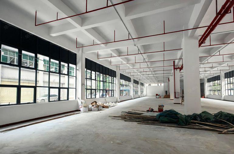 园洲镇中心独院标准厂房4600平米，宿舍900平米出租