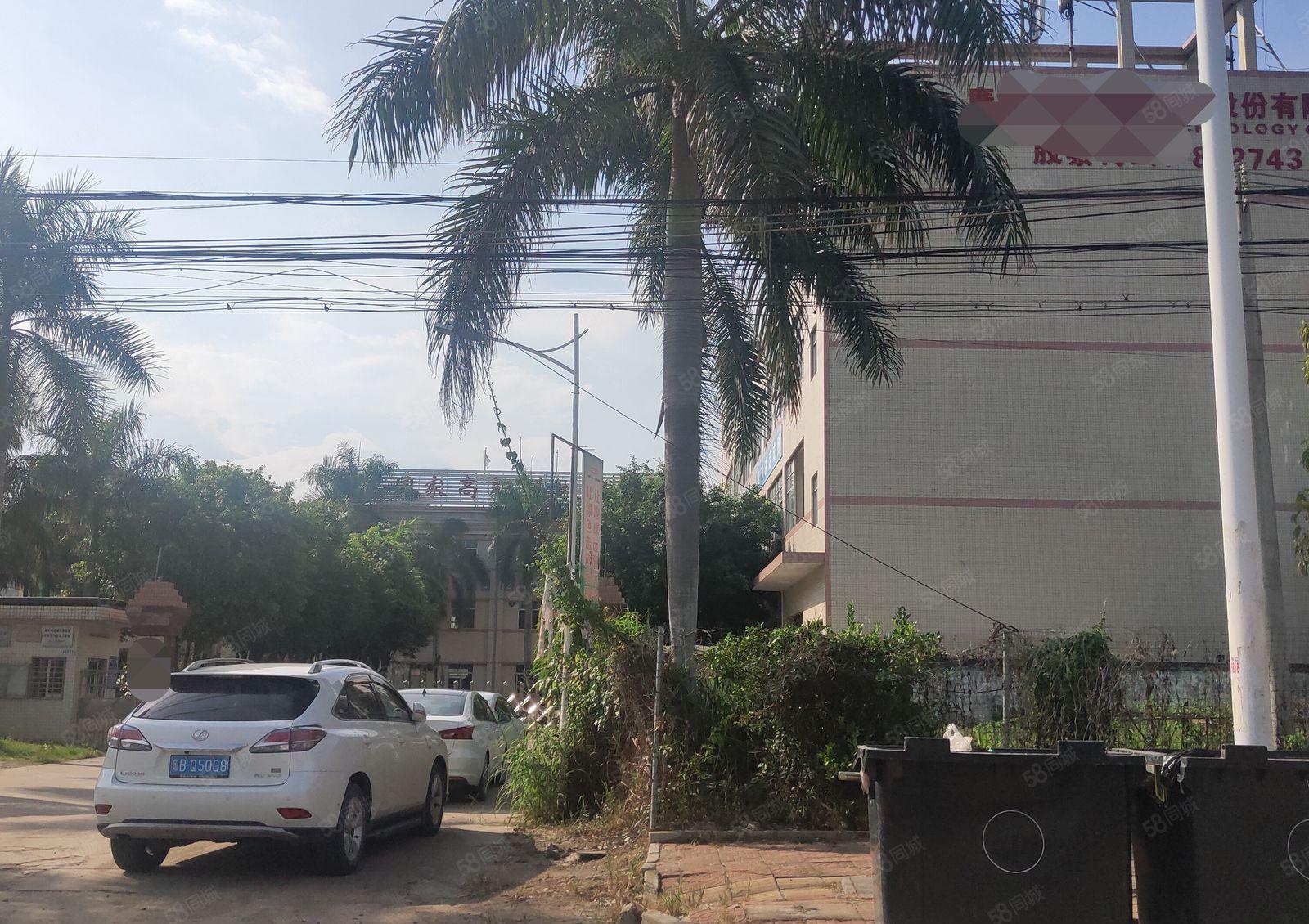 博罗标准厂房仓库独门独院出租带红本双证