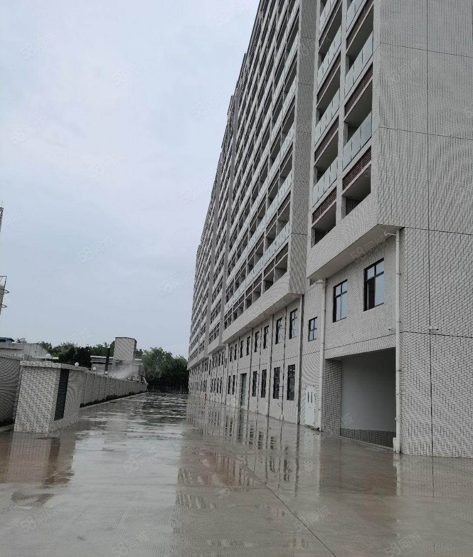 原房东工业园一手厂房招租，实际面积无公摊，形象超好，证件齐全