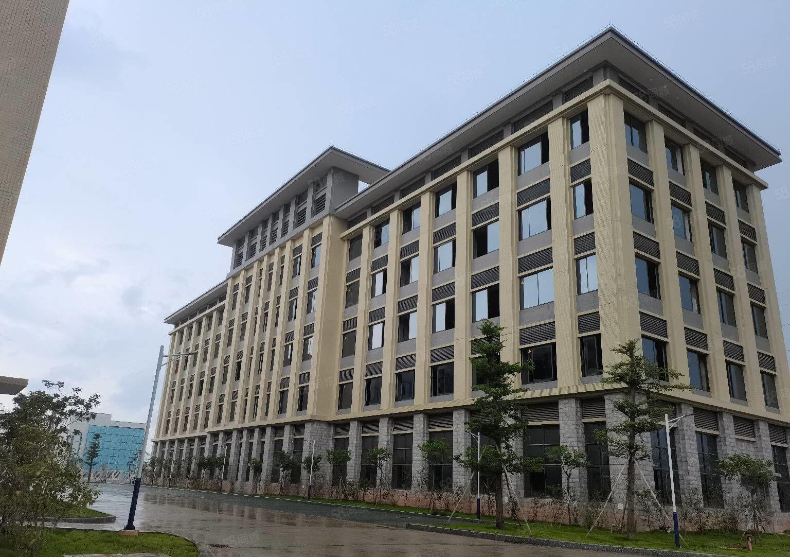 博罗重工业红本厂房全新装修交通方便按需分租700平2000