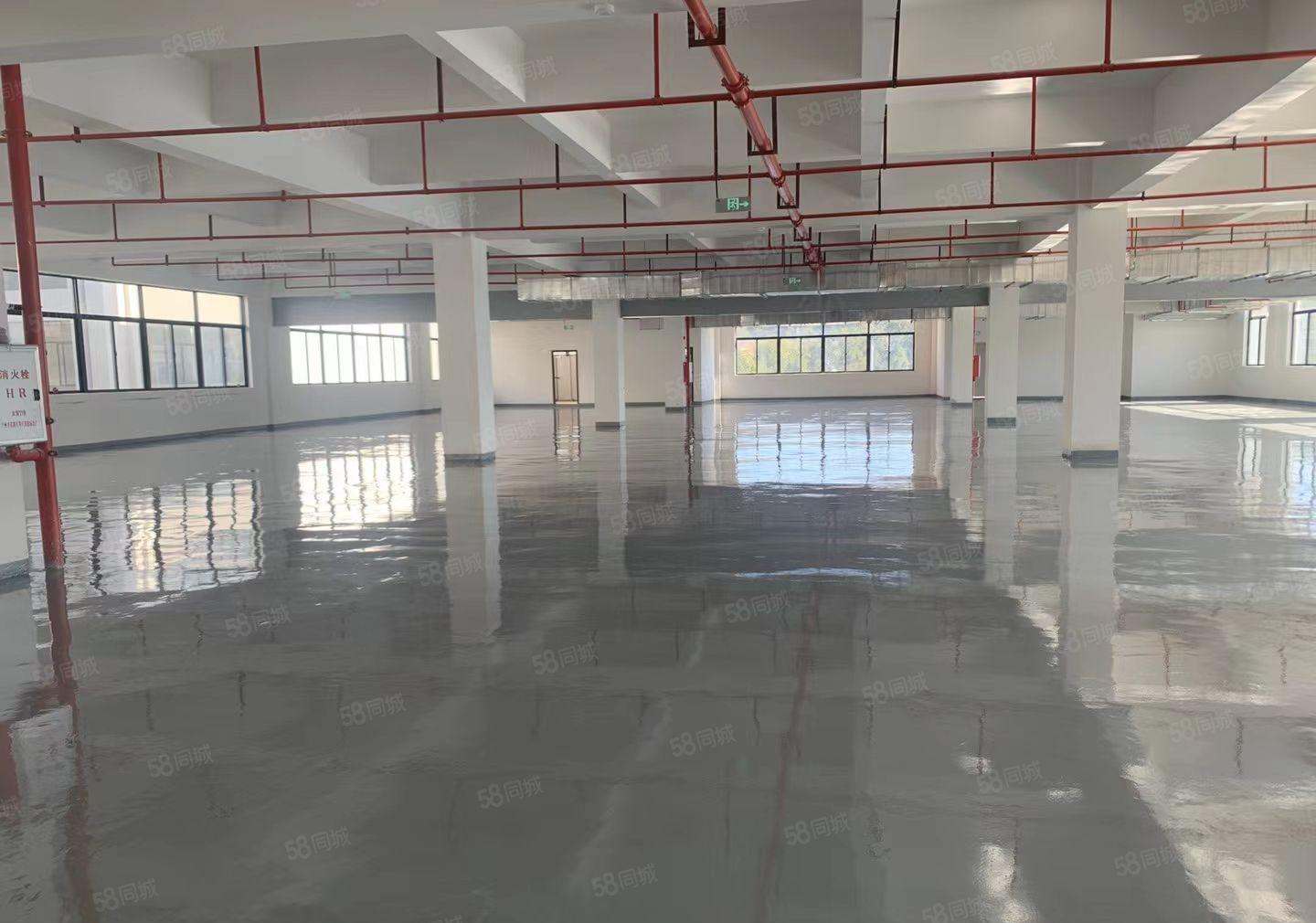 合四角楼红本全新厂房不停电园区
