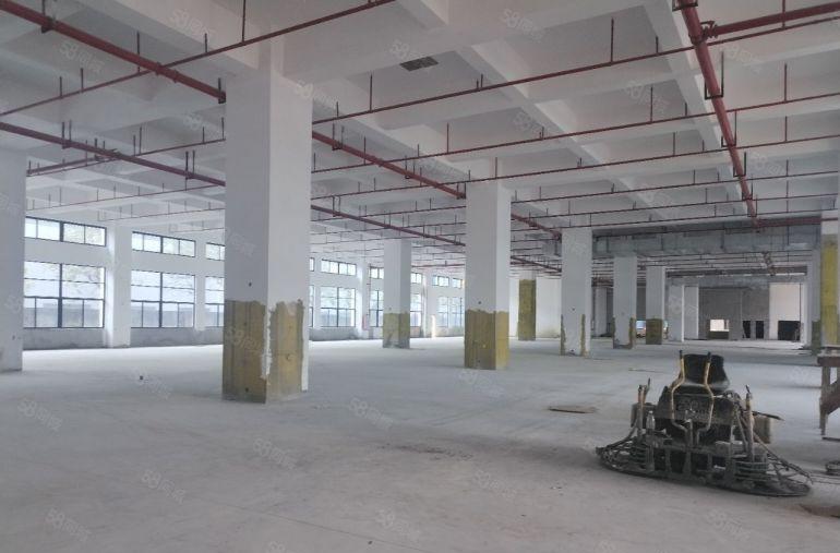 可分租36000平独院重工业标准厂房整栋出租