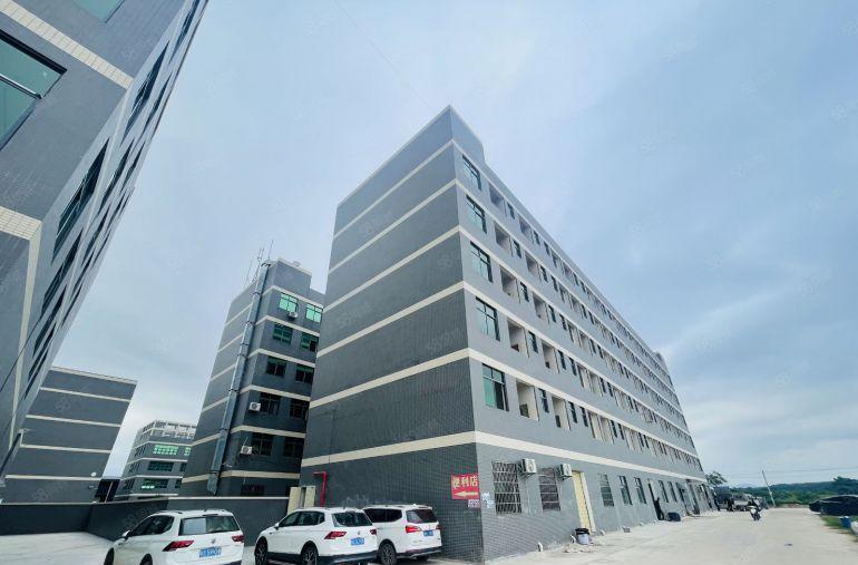 园洲靓厂房 高速路旁 环评秒过 带饭堂精装宿舍 空地可租