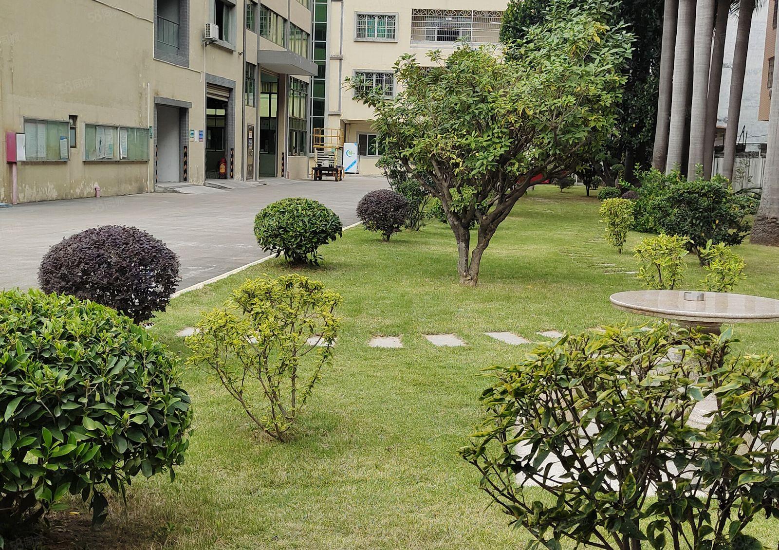 石湾镇花园式厂房国有证交通非常方便