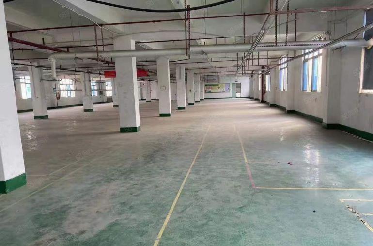 博罗县石湾镇原房东独门独院带红本标准厂房总面积12960平米