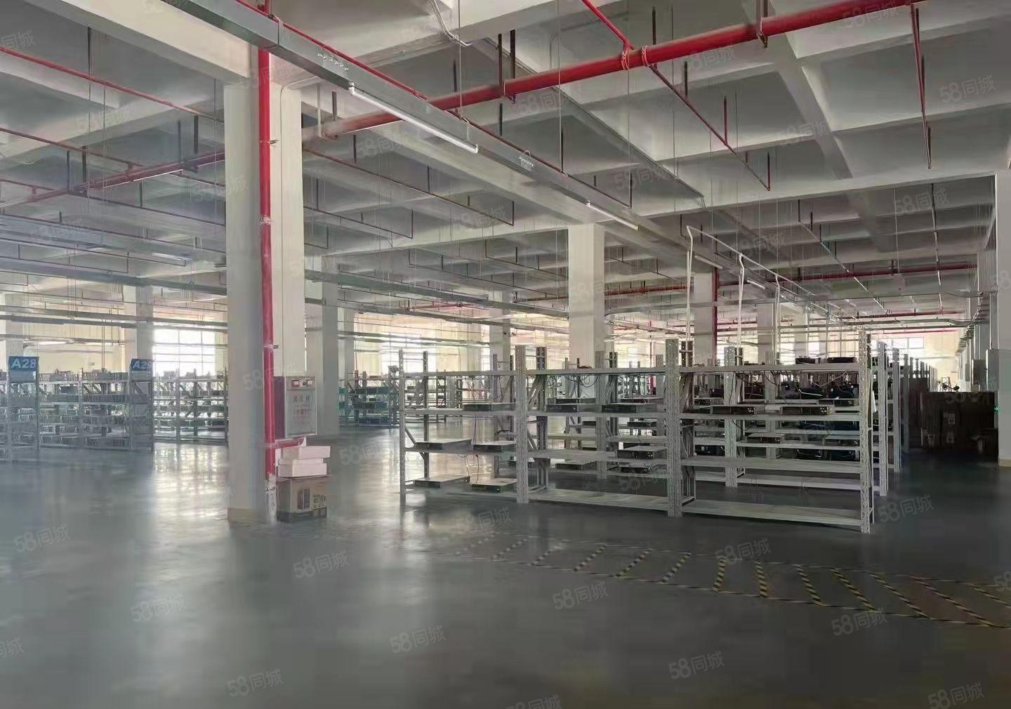 独院三层标准厂房招租5180平方 两部5吨大货梯 空地3千平