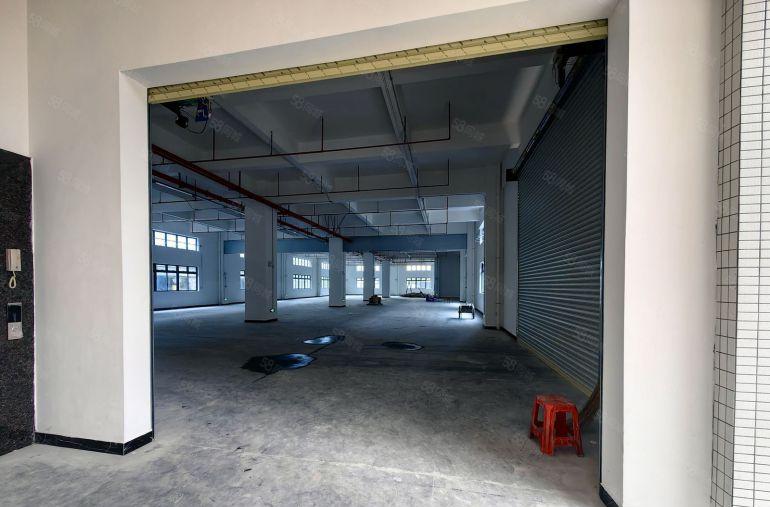 园洲原房东标准楼房5000平米，宿舍900平米出租