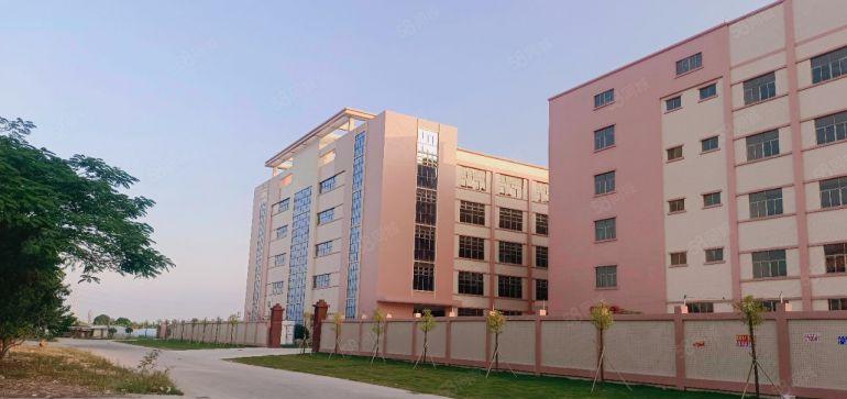 石湾镇原房东标准楼房出租分租1000方大空地免费全新红本厂房