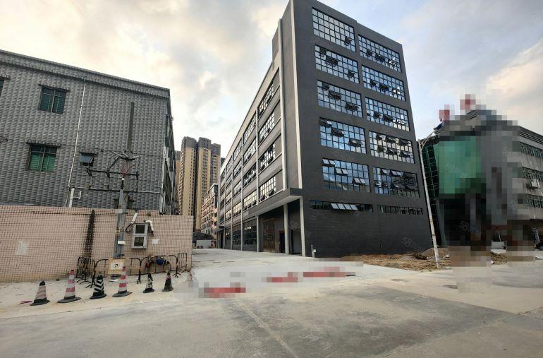 园洲镇中心独院标准厂房4600平米，宿舍900平米出租