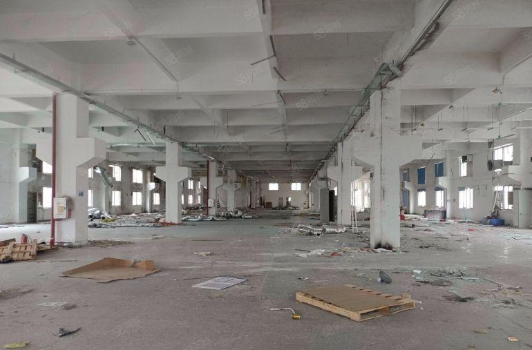 园洲镇原房东花园式标准独院厂房出租！