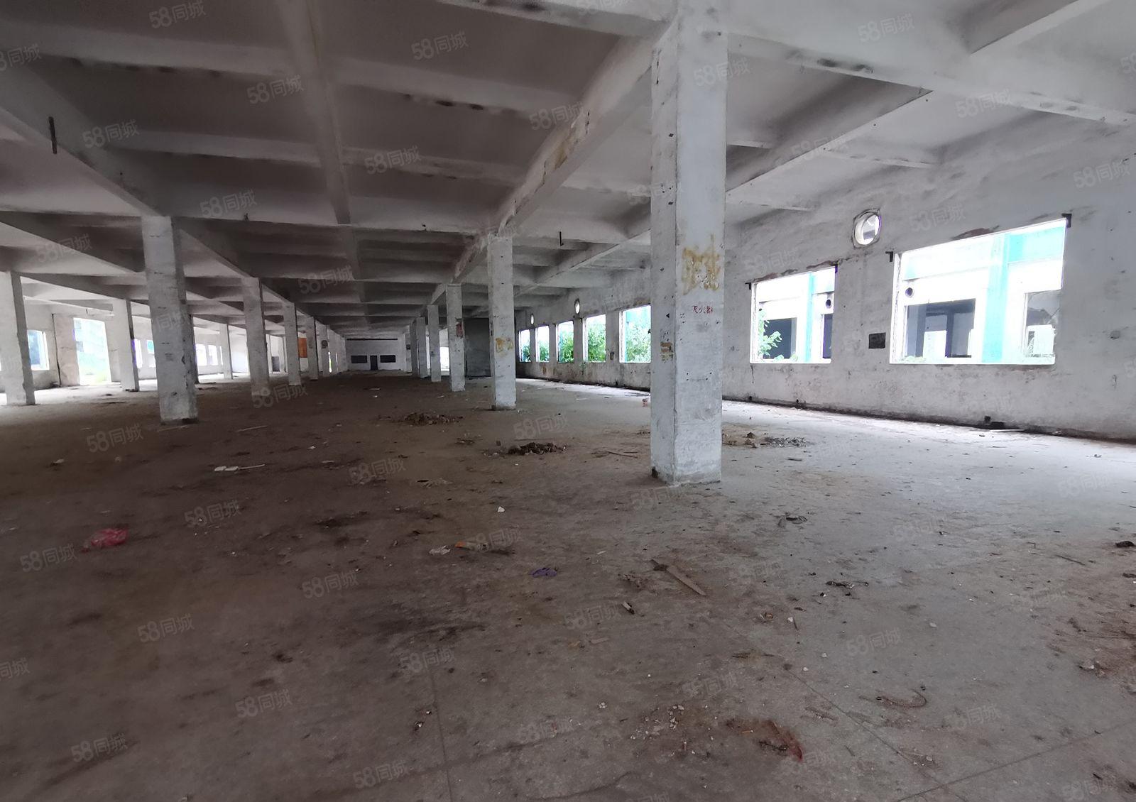 2百平起分租博罗义和西区工业区3千平独栋仓库厂房出租可办环评