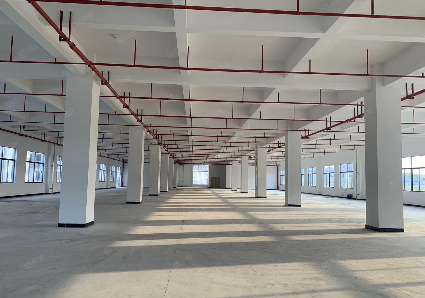 博罗县石湾科技园 红本双证独院标准厂房出租