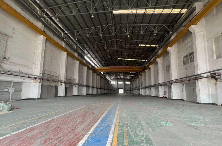 9元独栋！5000平大可分租博罗园洲新出钢构厂房仓库出租空地