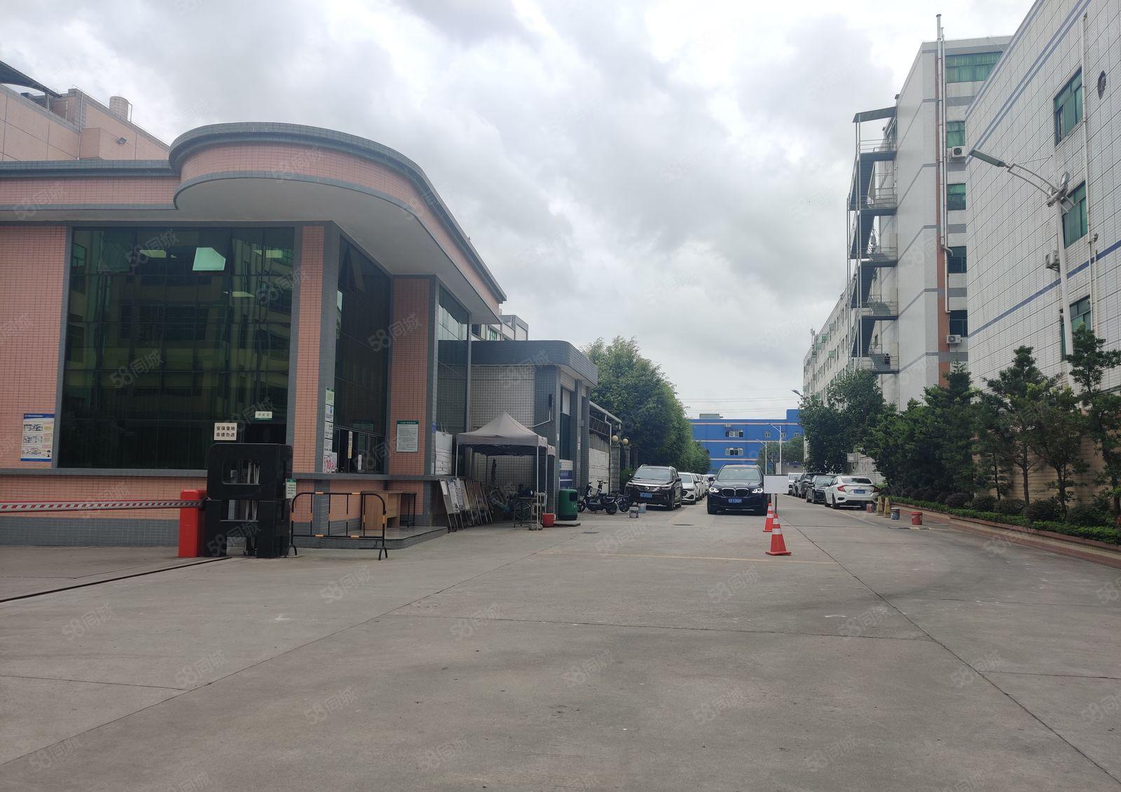 原房东独门独院红本厂房现成排污证两部三吨电梯可分租