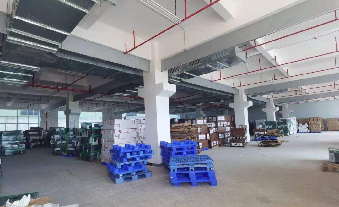 园洲原房东自用厂房分租独栋4850平方三层标准厂房 可隔独院