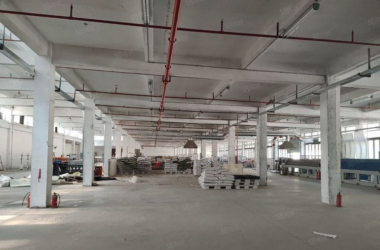 业主独门独院13000平方单一层钢结构空地5000平方高速口