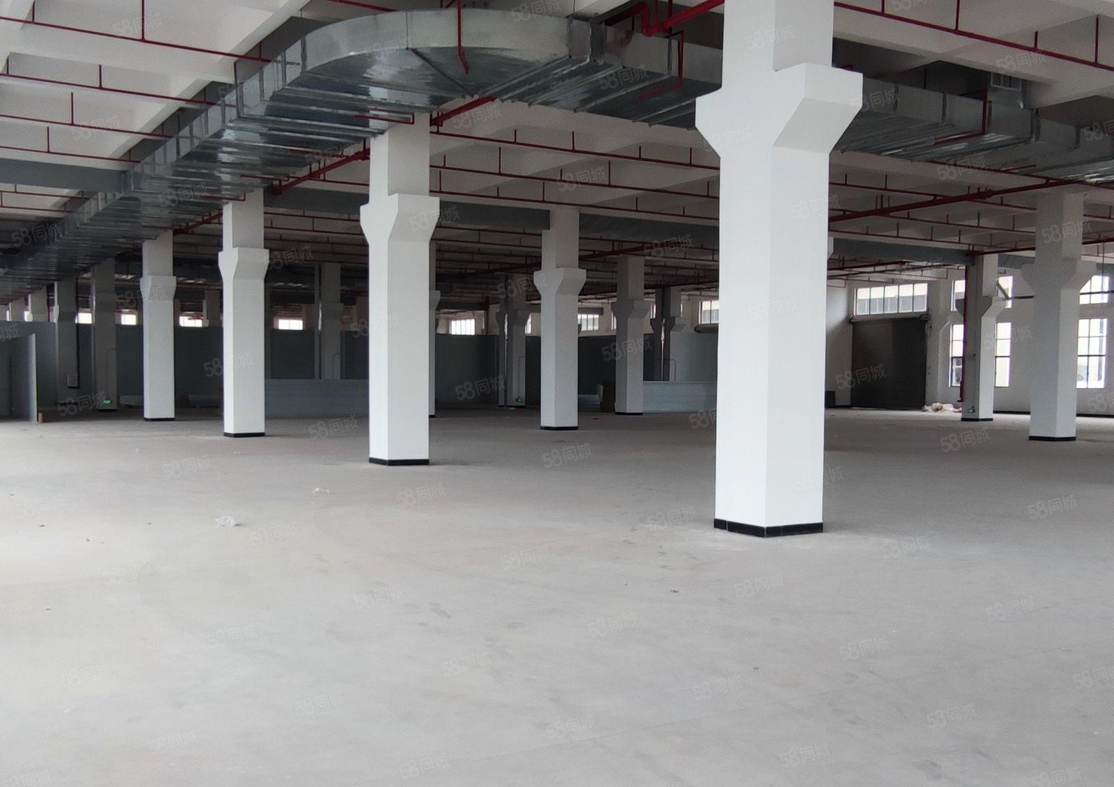 石湾科技园厂房15块出租 价格美丽 空地超大