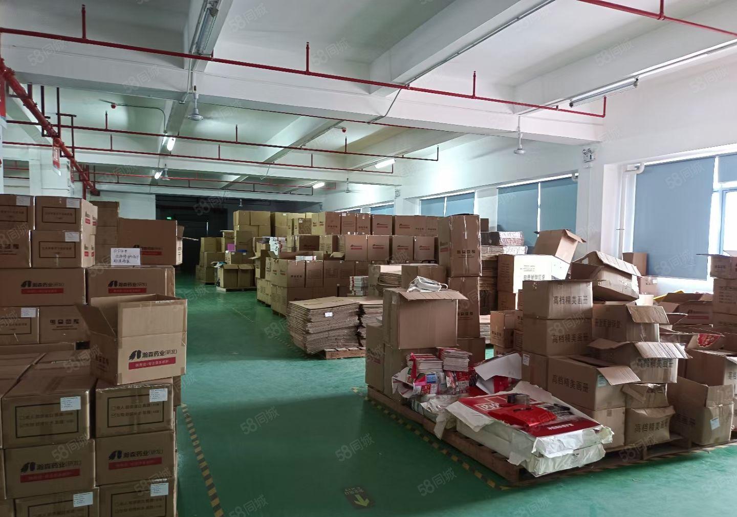 石湾原房东红本双证标准厂房特价出租！