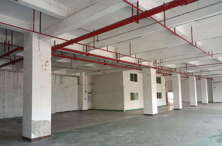 园洲镇！园洲大道边上工业园区一楼厂房出租！滴水6米！