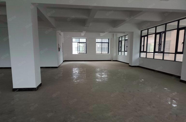 园洲镇标准楼房五百平至3000平低价厂房出租仓库出租