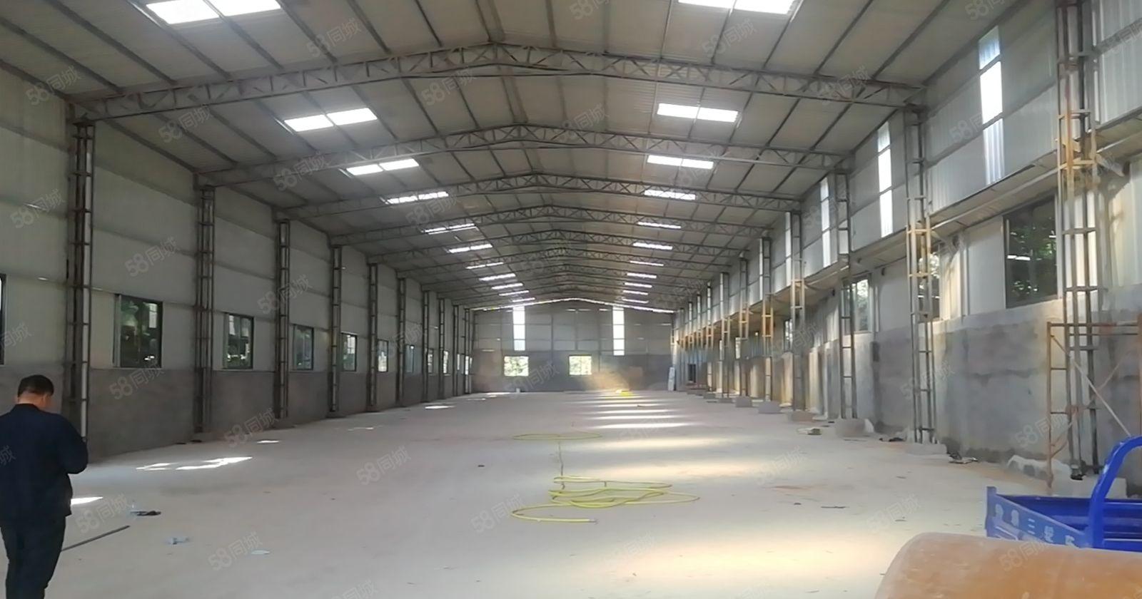 龙华镇原房东全新独门独院滴水8米单一层厂房招租