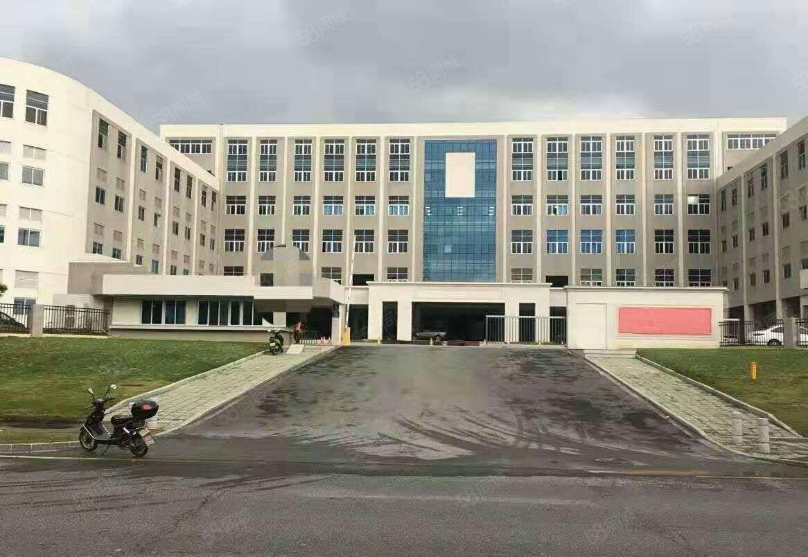 钜惠！园洲新出标准厂房 500~15000大小随意分租 红本