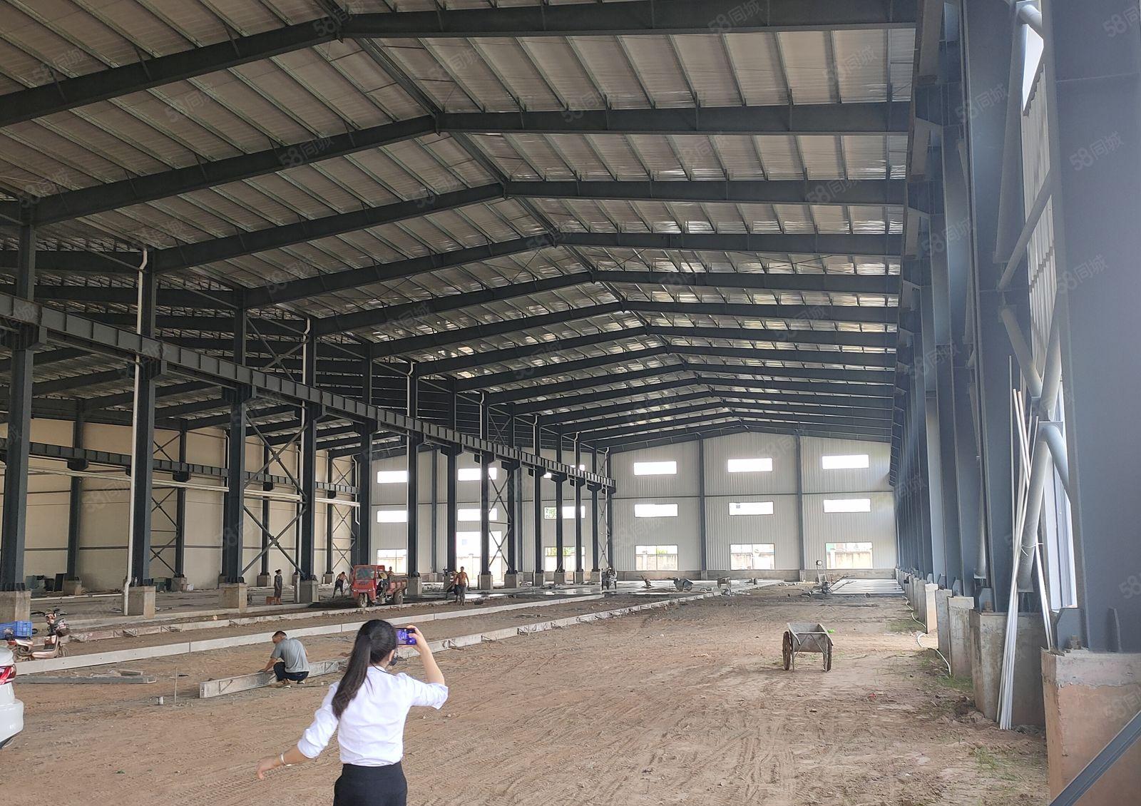 500平起博罗原房东独院钢结构2万平厂房出租低价空地大可喷油