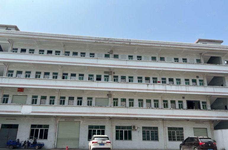 园洲！新空出园区！单一层！