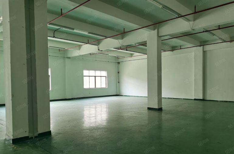 一手房东自建标准厂房，消防配套设施齐全，带货梯，交通便利