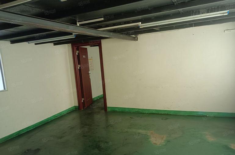 园洲镇！园洲大道边上工业园区一楼厂房出租！滴水6米！