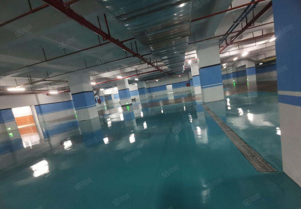 龙溪镇周边都是大型工业园 上市工业区，原房东一手招租