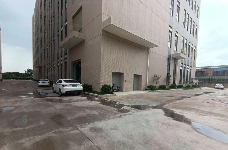 园洲镇全新独院标准厂房出租仓库出租，滴水七米，带蒸汽可分租