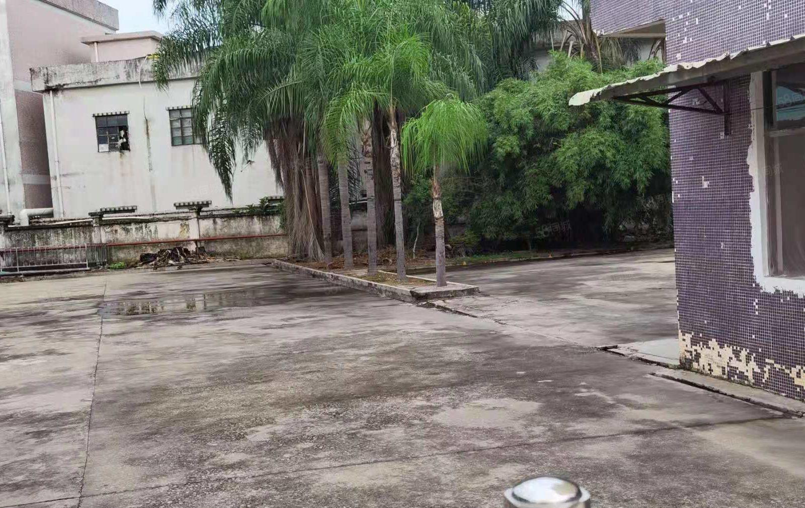 博罗龙溪镇砖墙到单一层4500平厂房招租（周边无居民）