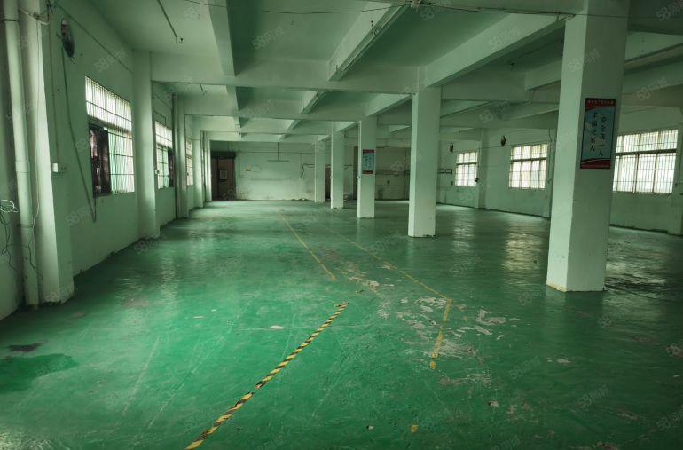 园洲电子包装类看过来500平，750平，1100平 水电齐全