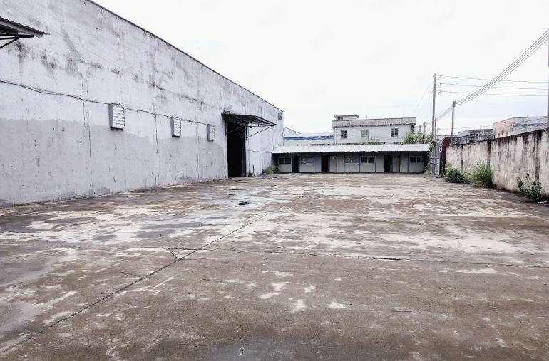 园洲钢结构独门独院厂房出租，厂房空地一比一，现成办公室