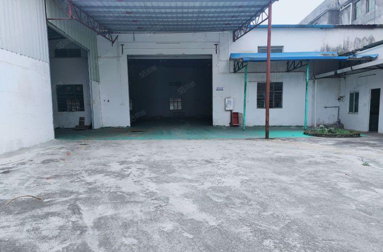 原房东低价出租园洲独门独户单层钢构1250平方证件齐全可分租