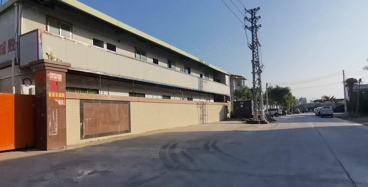 博罗可做小污染独院5000平原房东厂房出租可分租低价仓库