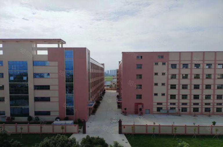 石湾镇原房东标准楼房出租分租1000方大空地免费全新红本厂房